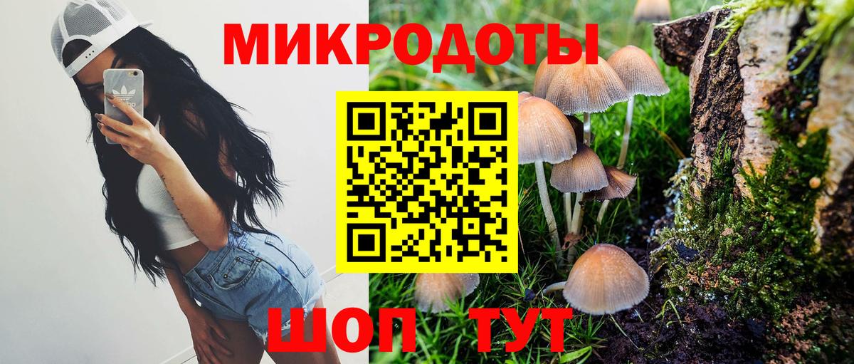 где можно купить   Псилоцибиновые грибы MAGIC MUSHROOMS  Вход с VPN  Кириши 